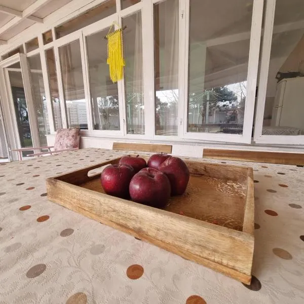 Roni's Place，位于尼亚·卡利克拉提亚的酒店