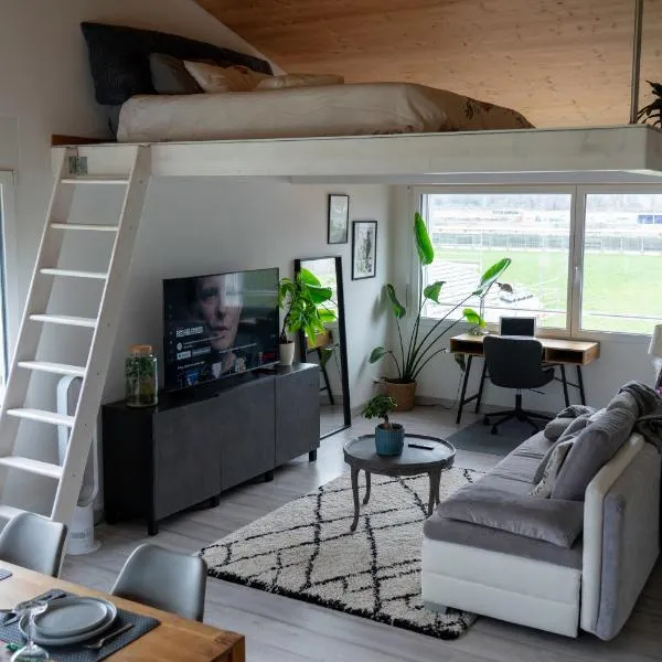 StudioLoftMountains，位于Collombey的酒店
