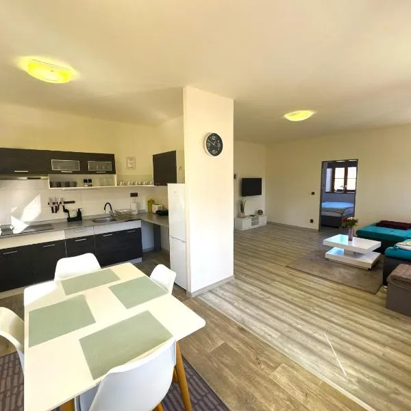 Apartmán Špálovka，位于新博尔的酒店