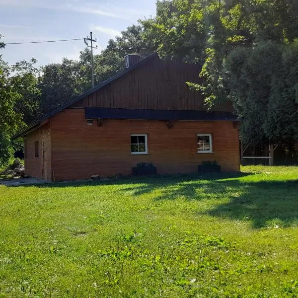 Domek Na Skraju Lasu，位于Wola Batorska的酒店