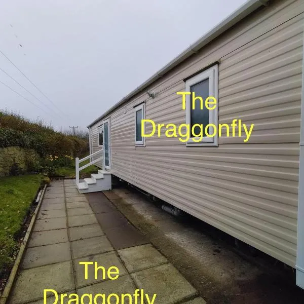 The Dragonfly Presthaven Sands，位于普利斯坦丁的酒店