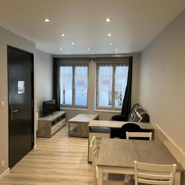appartement N1，位于Yssingeaux的酒店