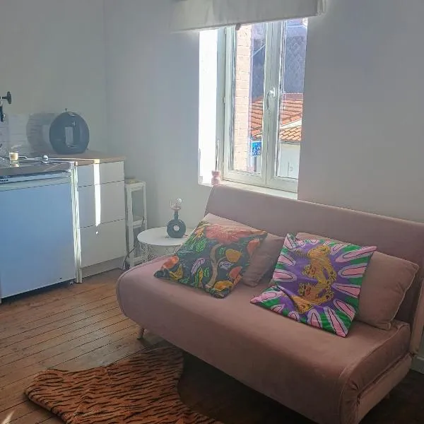 Studio centre bourg，位于Saint-Mars-de-Coutais的酒店