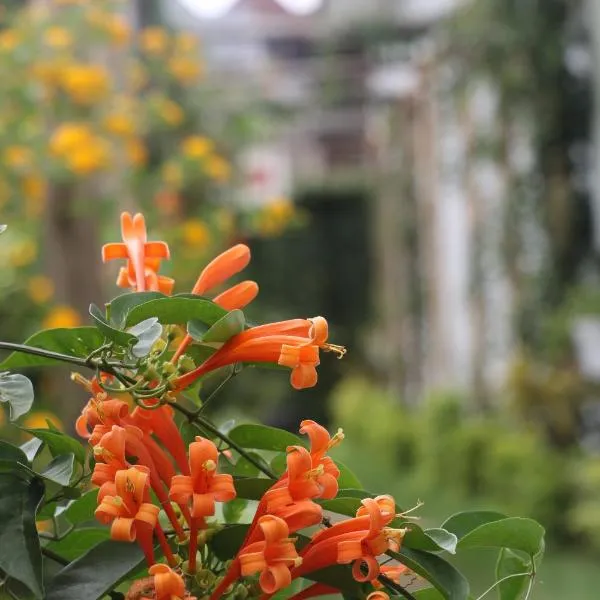 At Home Suites, Moshono Garden Arusha，位于Nkoanrua的酒店