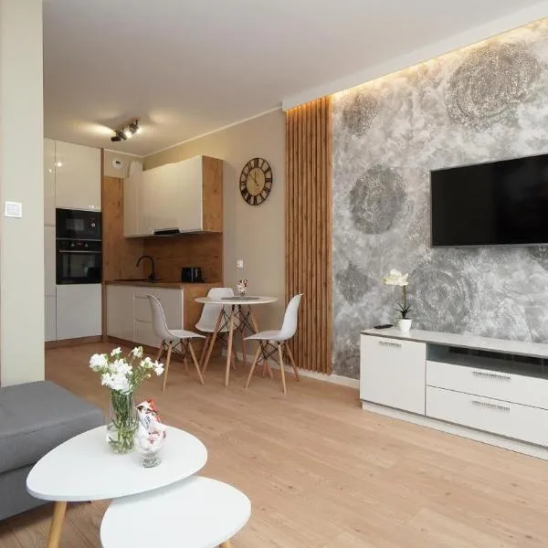 Grunwaldzka 65 Elbląg，位于埃尔布隆格的酒店