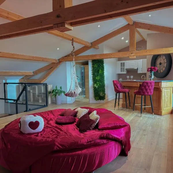 Le Loft Paradise，位于蒙托邦的酒店