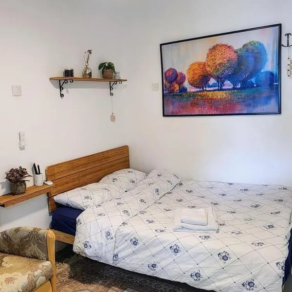 A country house in the city，位于佩塔提克瓦的酒店