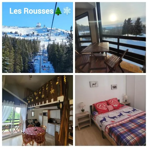 LE CHALET des 3 Sapins, Superbe Duplex Montagnard avec balcon, au calme - Les Rousses, Draps inclus & Parking gratuit，位于莱鲁斯的酒店