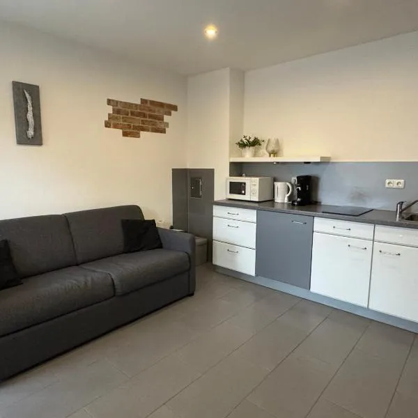 Apartment am Minoritenhof，位于Sinzing的酒店