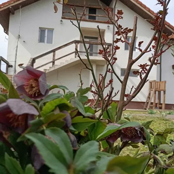 Casa Gheorghe，位于Balabancea的酒店