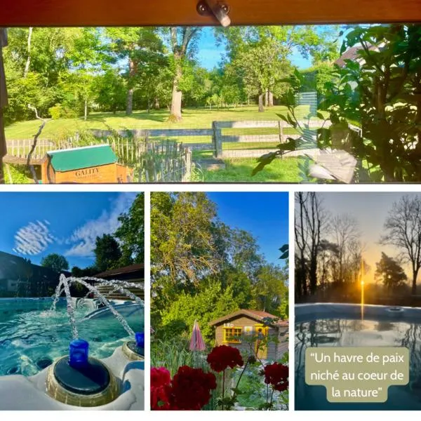 O et Terre, gite ressourcement bains spa cryo sauna et foret，位于Dormelles的酒店