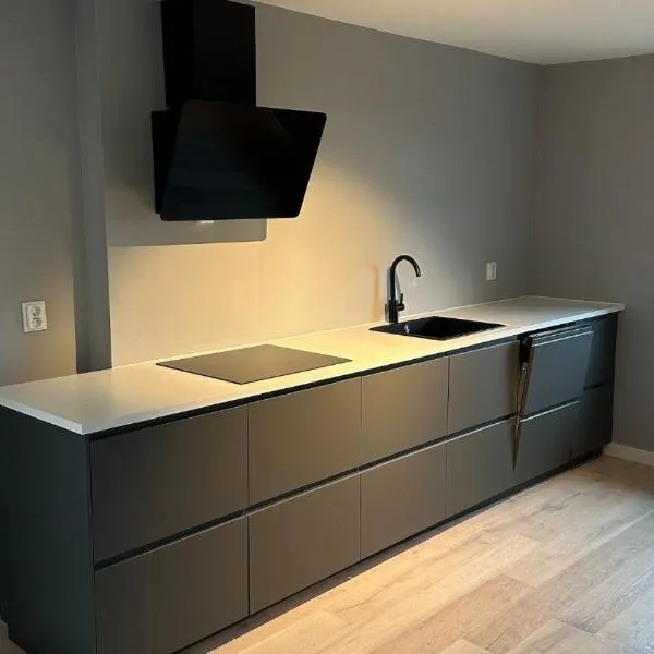 Downtown 2-bedroom apartment，位于海宁格松的酒店