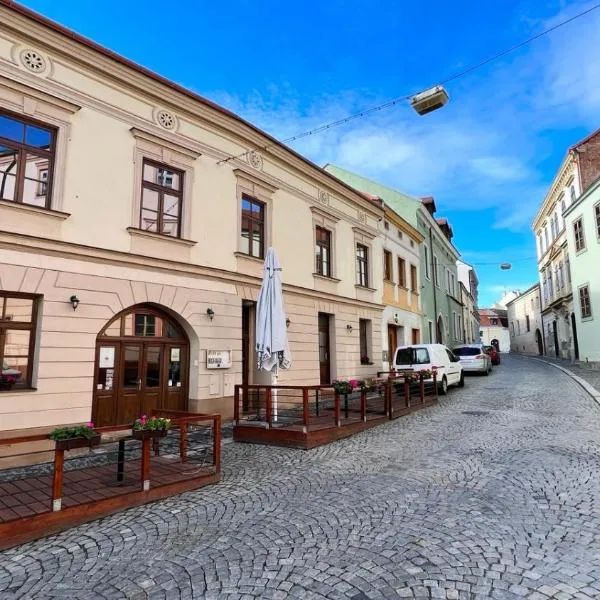 Penzion U Radnice，位于兹诺伊莫的酒店