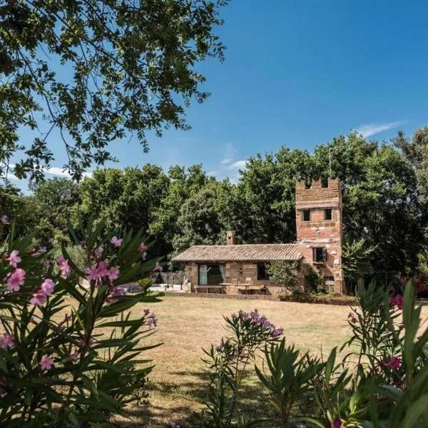 Tenuta Torre di Pian Castagno，位于苏特里的酒店
