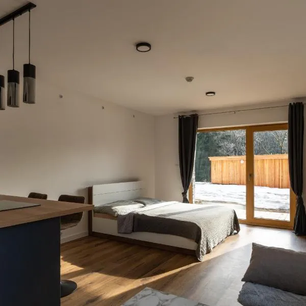 Andrea 's 4 seasons，位于阿尔布勒茨缇策维基泽尔斯基弛霍拉次的酒店