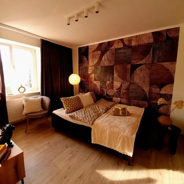 Apartament Słoneczny，位于瓦乌布日赫的酒店
