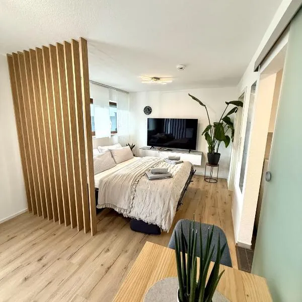 Das 1 Zimmer Apartment，位于纳戈尔德的酒店