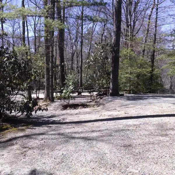 Linville Falls Campground, RV Park, and Cabins，位于Linville Falls的酒店