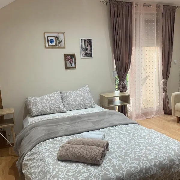 Cozy Family House，位于Lazarevac的酒店