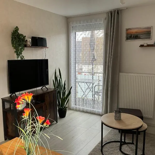 Apartement Seestern mit kleinem Südbalkon, 100m zum Meer，位于施坦胡德的酒店