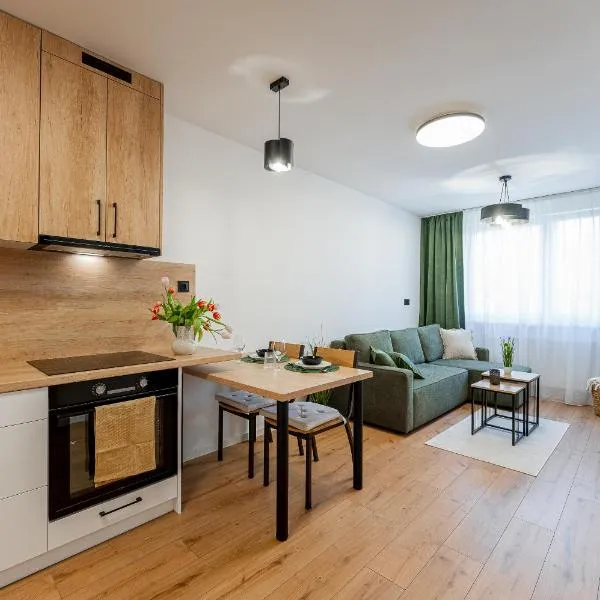 Kriva Apartment 3 City Center Kosice，位于科希策的酒店