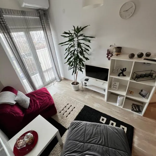 Apartman-Stefanovic，位于弗拉涅的酒店