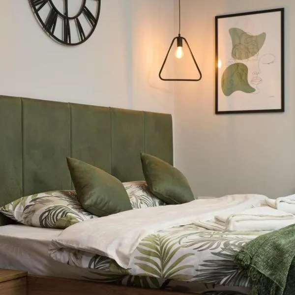 Downtown Boutique Apartments，位于诺维萨德的酒店
