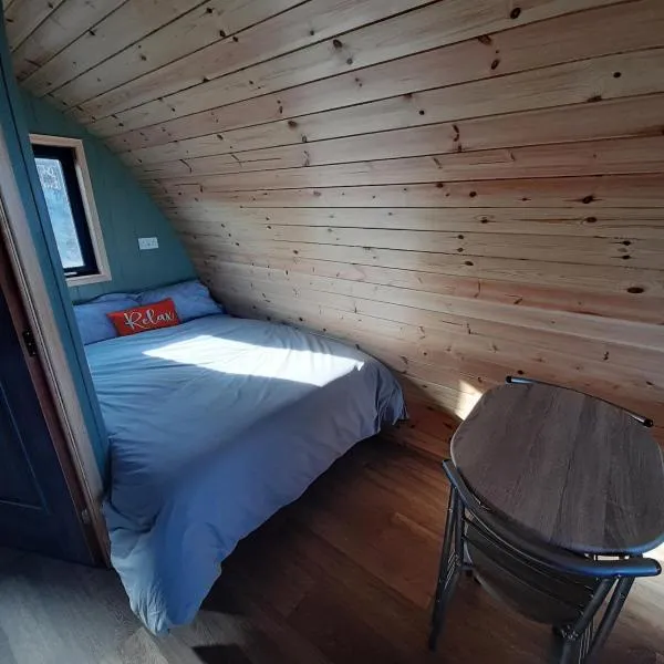 SeaView Wild Atlantic Pod，位于杜林的酒店