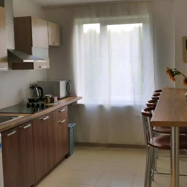 Apartments in Roja，位于罗亚的酒店