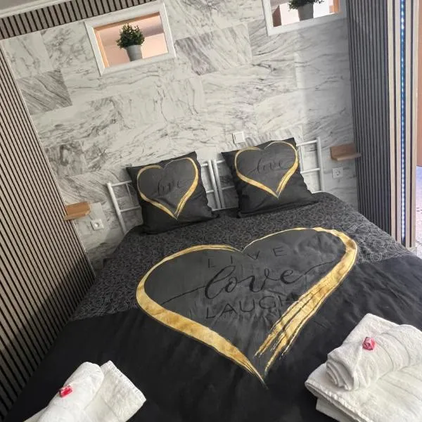 Zum Sterngässchen，位于莱茵河畔路德维希港的酒店