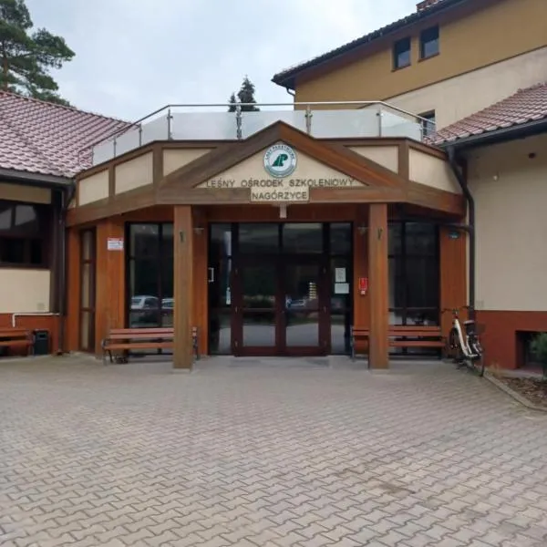 Leśny Ośrodek Szkoleniowy Nagórzyce，位于Swolszowice Małe的酒店