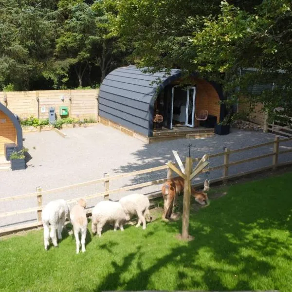 little peru luxury pods and alpaca farm，位于Crosshill的酒店
