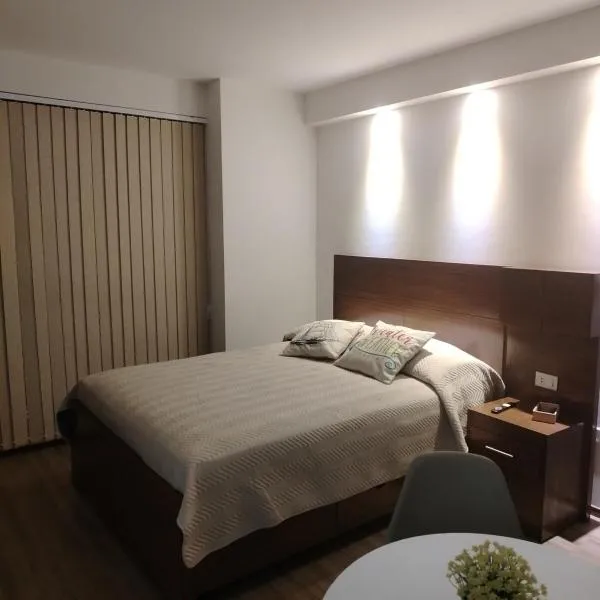 Mono Samay 216，位于科恰班巴的酒店