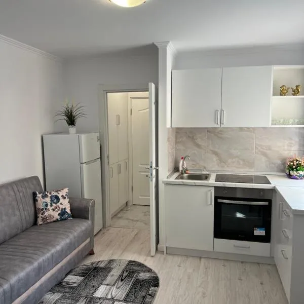 Apartament Ultracentral，位于勒德乌齐的酒店