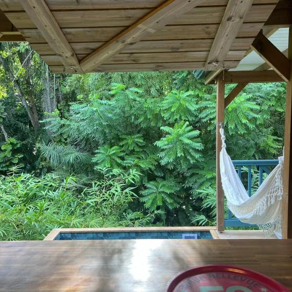 Jungle kaz, piscine privée，位于拉芒坦的酒店