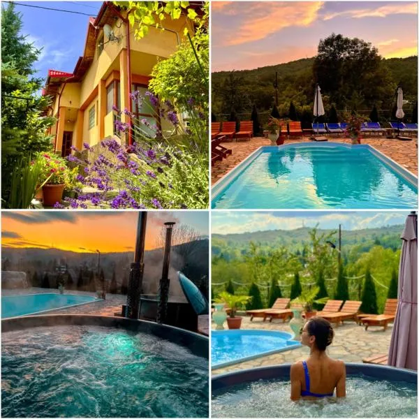 Pensiunea PORTAS RESORT，位于斯勒尼克的酒店