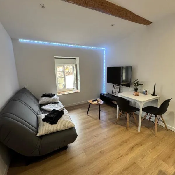 La perle limouxine -Studio，位于利穆的酒店