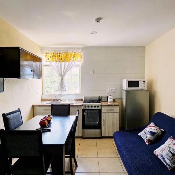 Sensity Home Departamento 4, Confortable y céntrico todos los servicios，位于提瓦坎的酒店