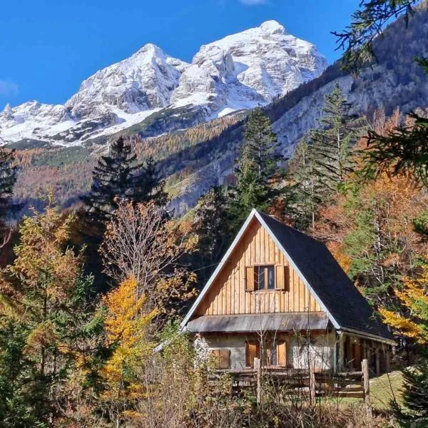 Cozy Private Cabin in the heart of Triglav National Park，位于特伦塔的酒店