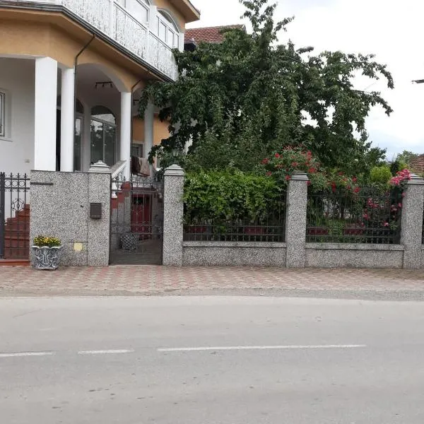 Vila mijajlovic，位于Svilajnac的酒店