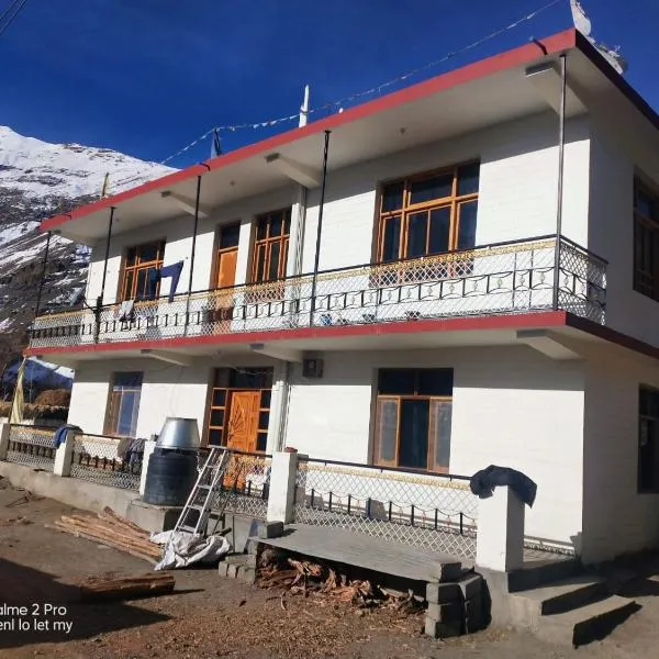 Tanzin brothers homestay，位于Tabo的酒店