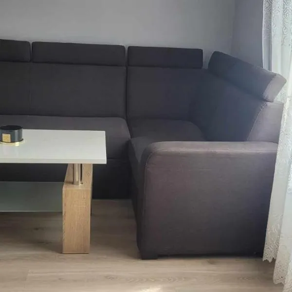 Apartament u Doroty obok Zamku Sarny，位于Ścinawka Górna的酒店