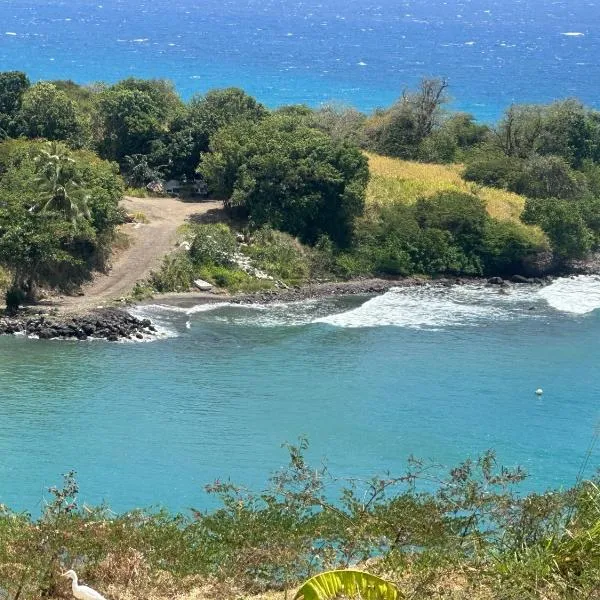 Palmetto Bay Paradise，位于Trinity的酒店