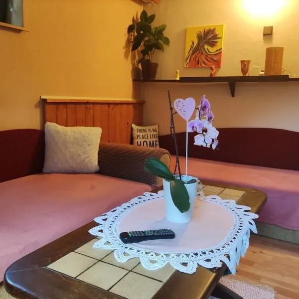 Útulný Apartmán v Centre Detvy，位于代特瓦的酒店