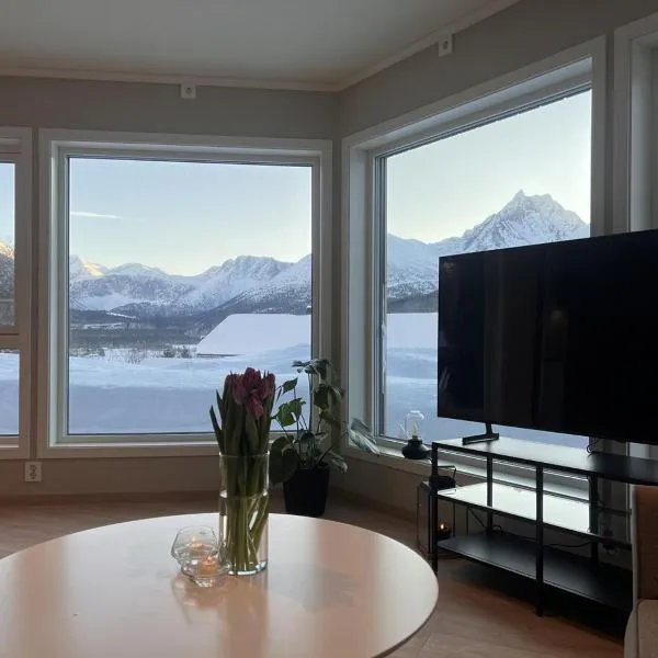 Mountain View apartment，位于Isfjorden的酒店