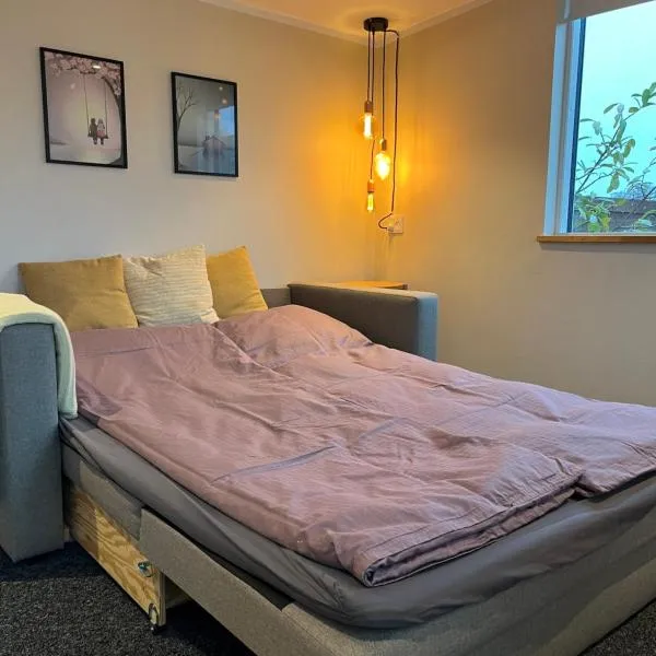 Cosy Guesthouse near Copenhagen，位于Rødovre的酒店