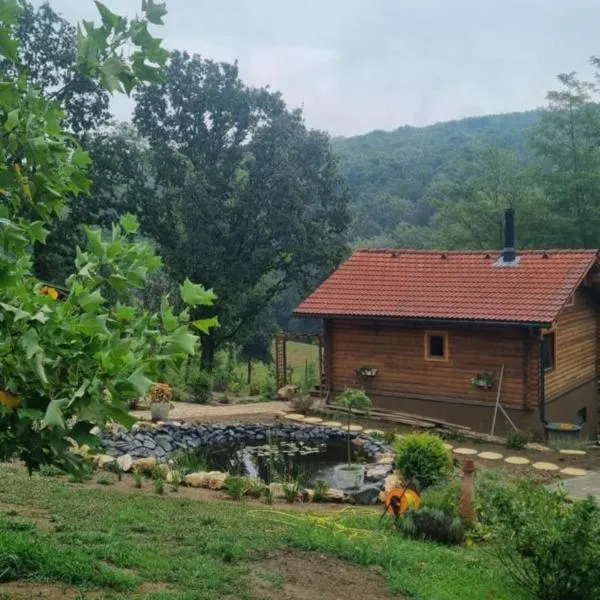 Villa Roza，位于Murarátka的酒店
