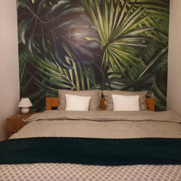 Apartman 2023，位于Bečej的酒店