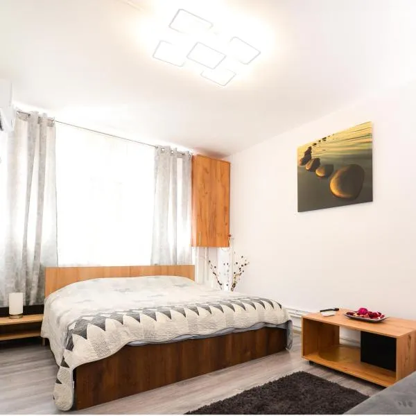 Central Grey Studio Hateg，位于哈采格的酒店