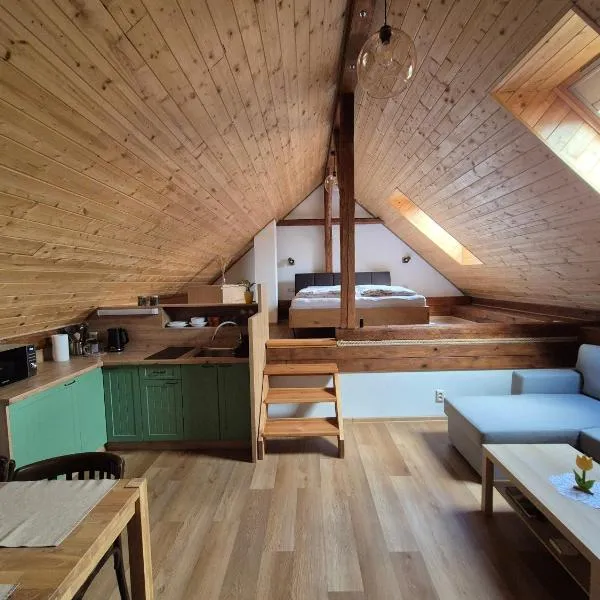 Apartmán Andrea，位于赫拉布斯的酒店